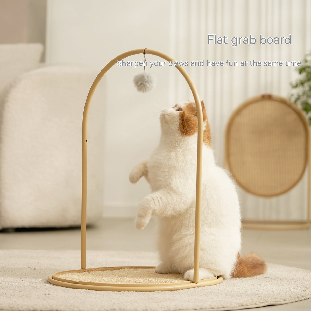 Cat Scracher