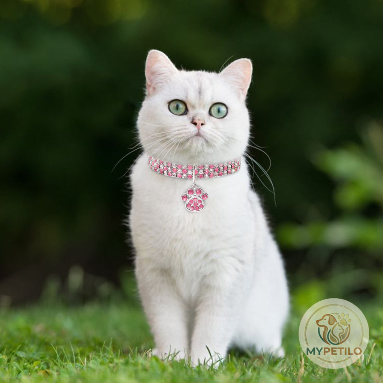 Cat And Dog Necklace Jewelry