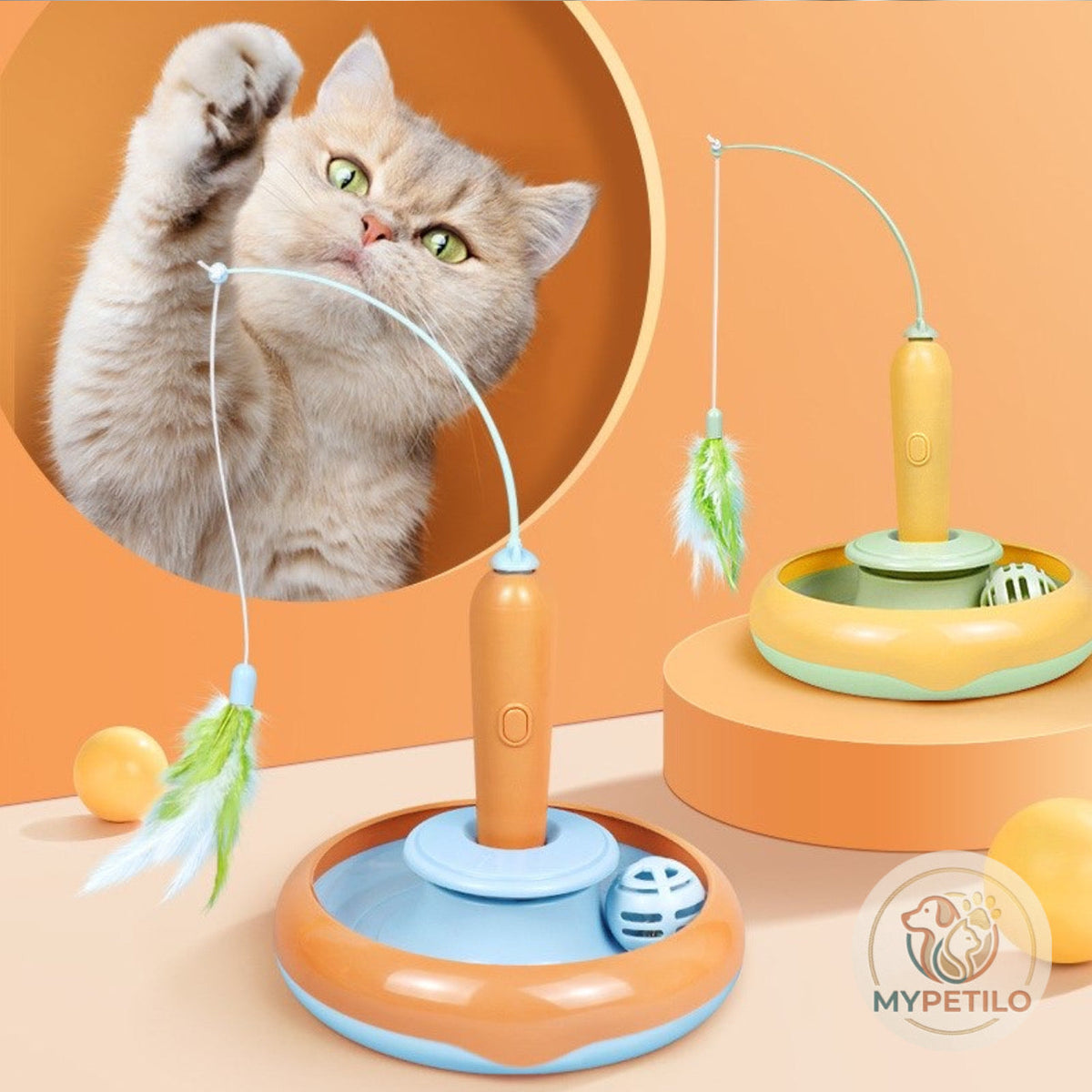 Pet Toy