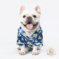 Cat and dog clothes