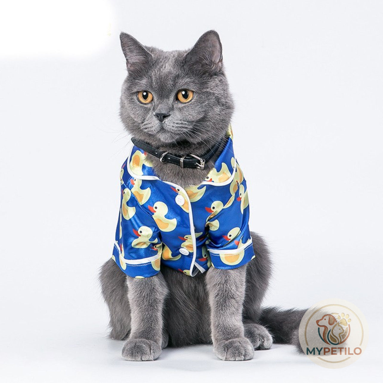 Cat and dog clothes