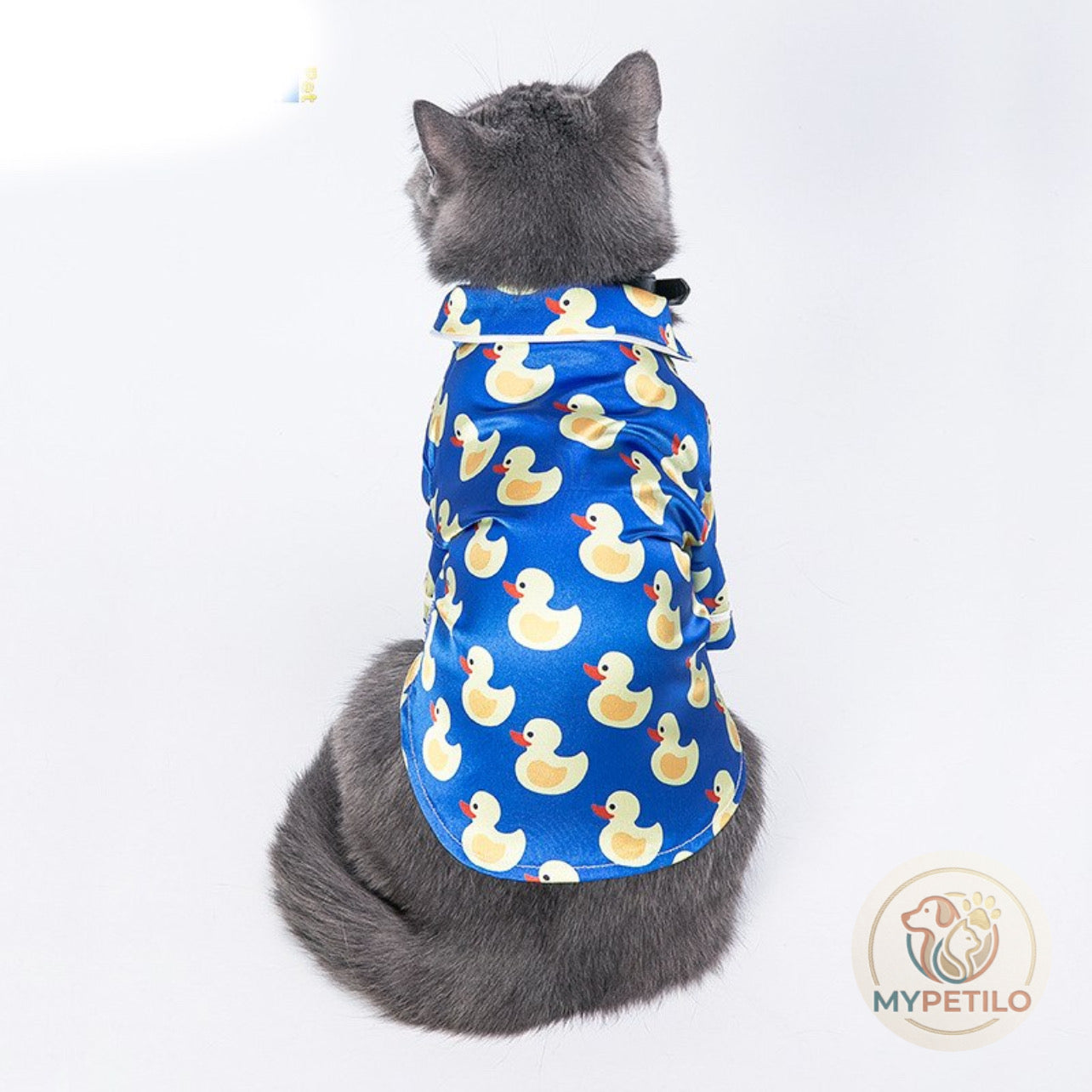 Cat and dog clothes