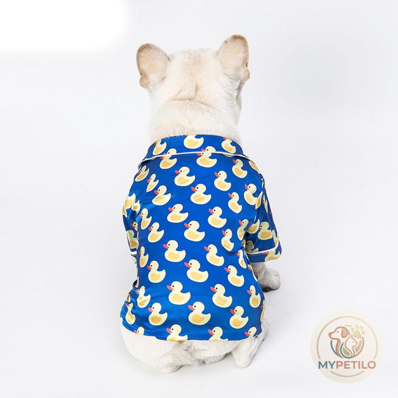 Cat and dog clothes