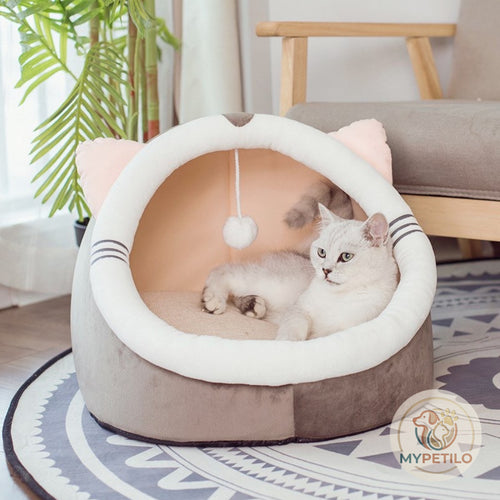 Autumn and winter cat litter and dog litter