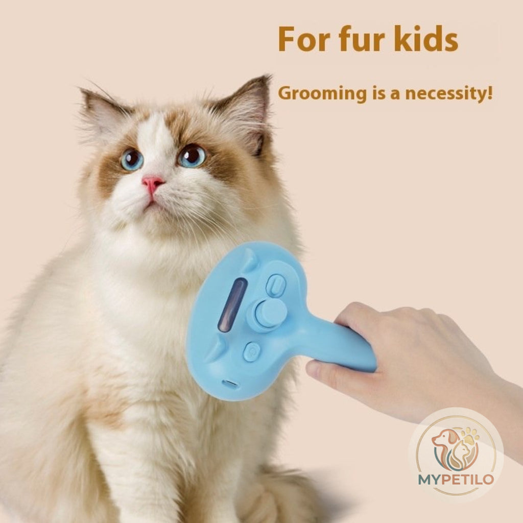Pet Spray Comb Rechargeable Float Hair Cleaning One Key Hair Removal Comb