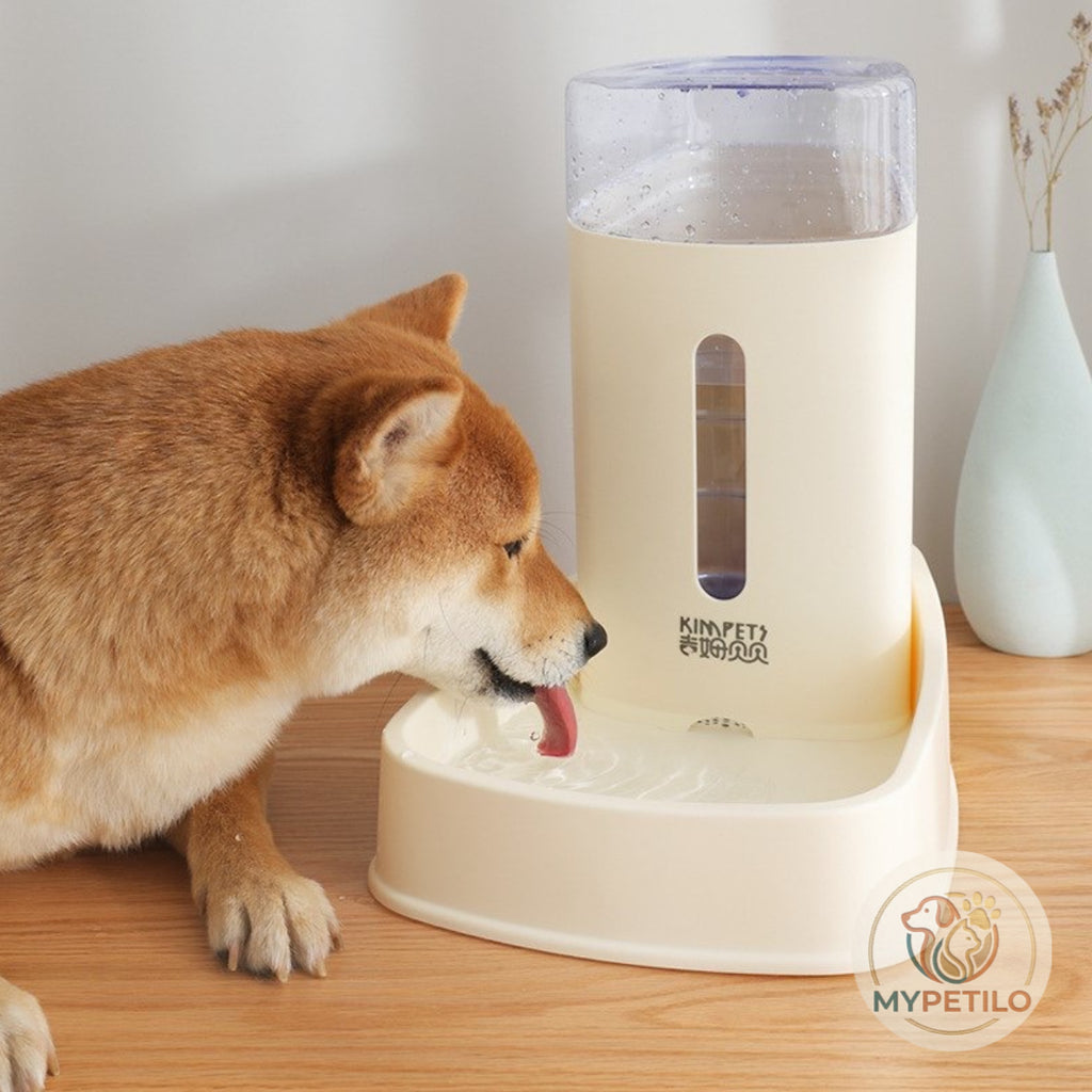 Cat pet waterer