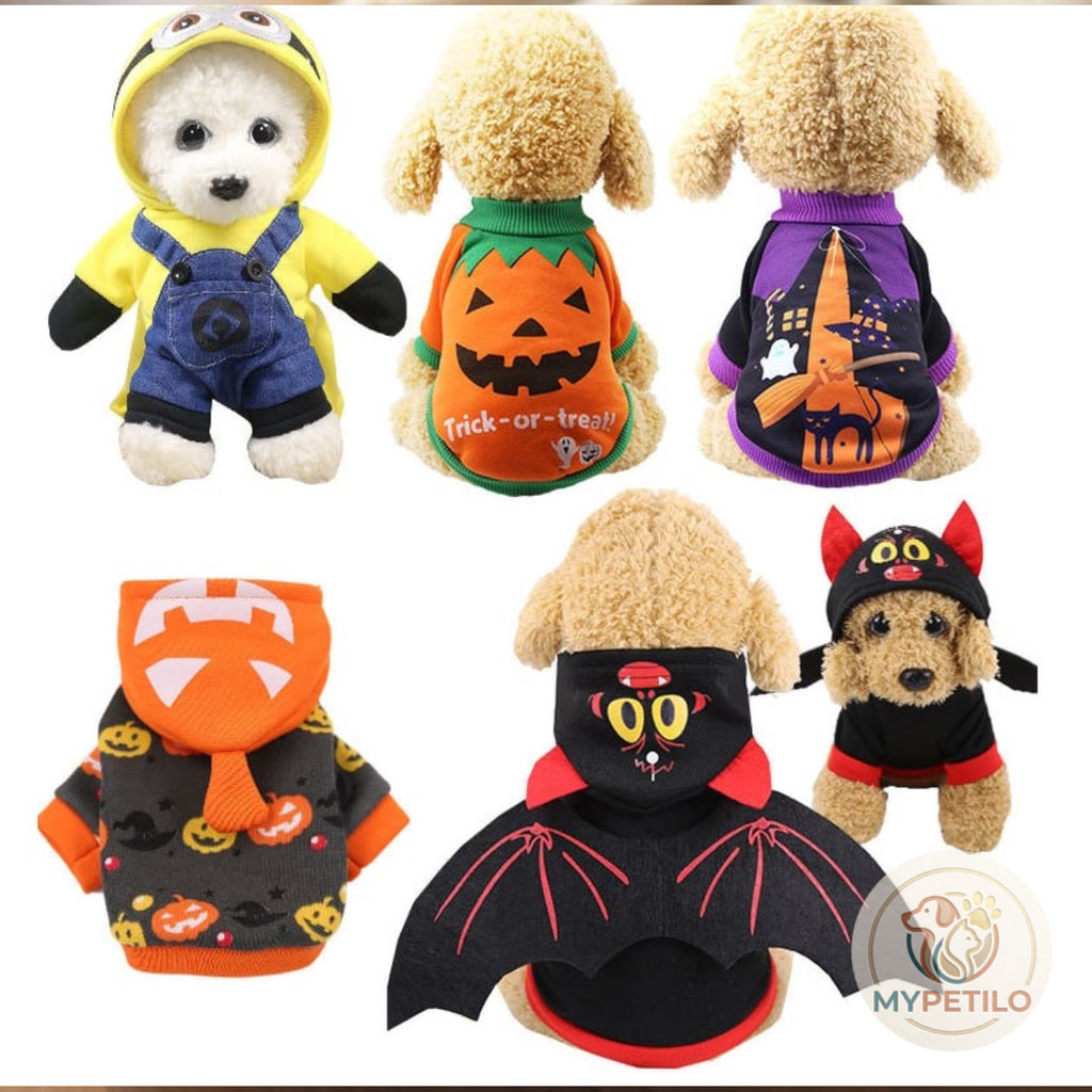 Halloween funny pet clothes