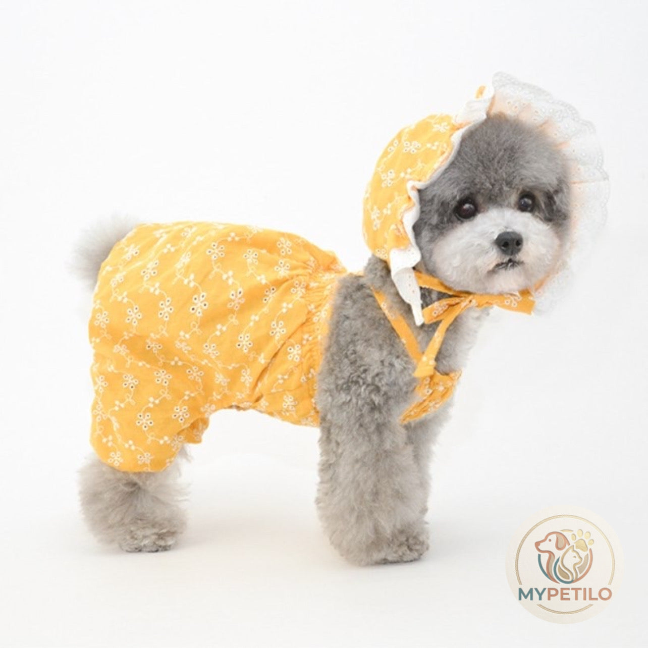 Pet Hat Ornament Puppy