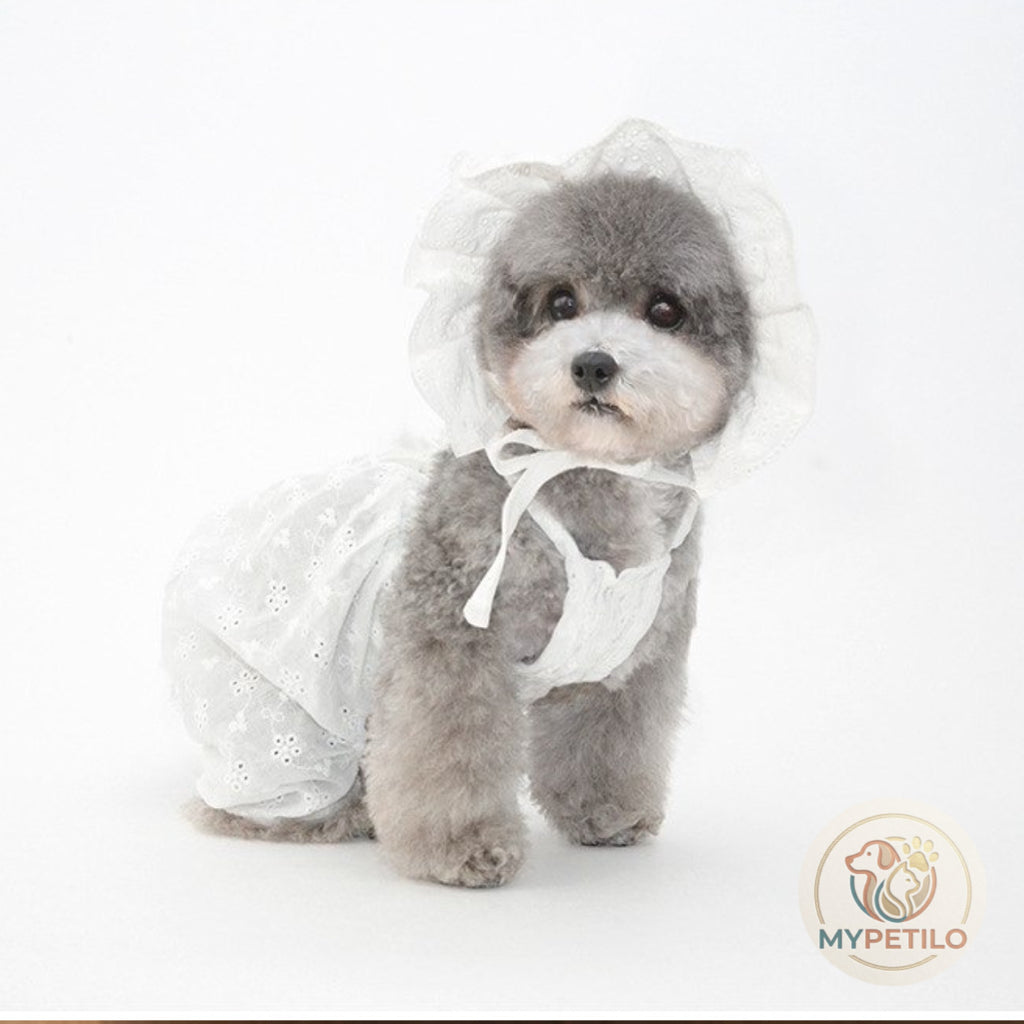 Pet Hat Ornament Puppy