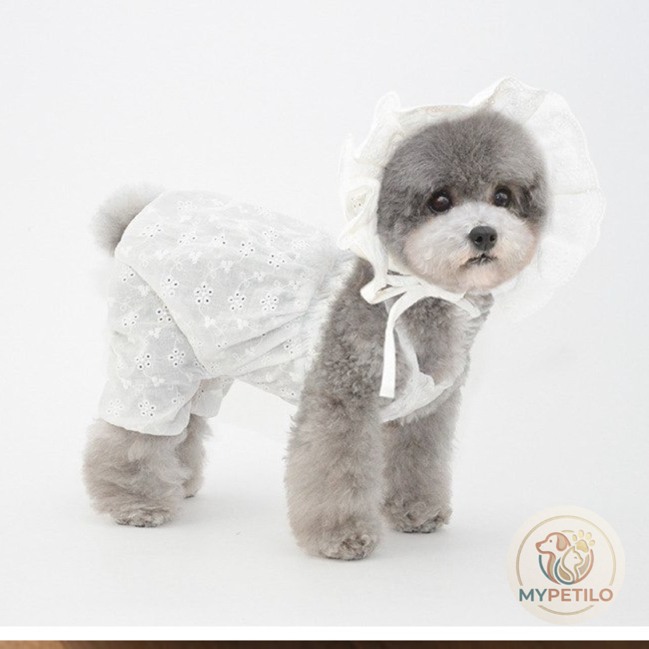 Pet Hat Ornament Puppy
